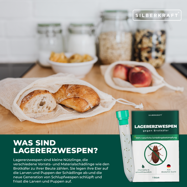 Silberkraft Lagererzwespen gegen Brotkäfer, biologische Schädlingsbekämpfung in der Küche, Röhrchen mit Nützlingen und Verpackung neben Brot.