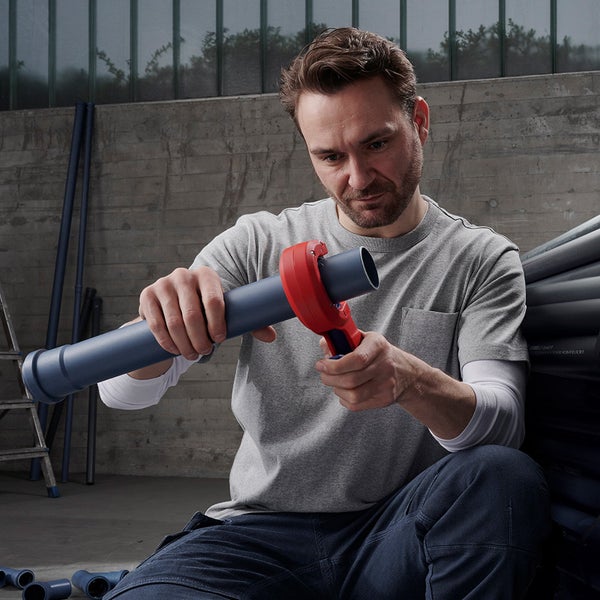 Blühender Felberich im Garten.