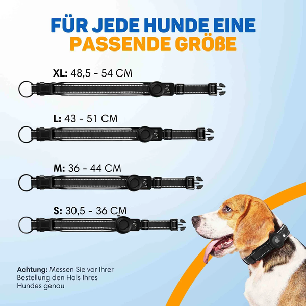 Größenübersicht für ein Hundehalsband mit Halterung für Tracker in vier Größen von S bis XL sowie ein Beagle mit Halsband.