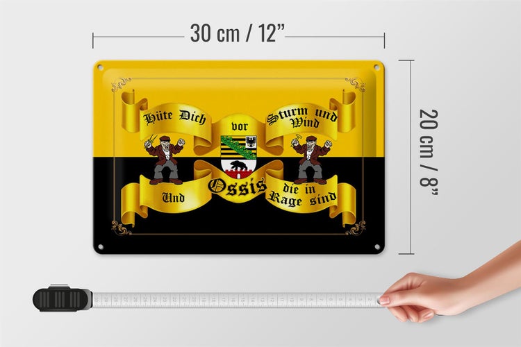 Blechschild Spruch 30x20cm hüte dich vor Sturm Wind Ossis
