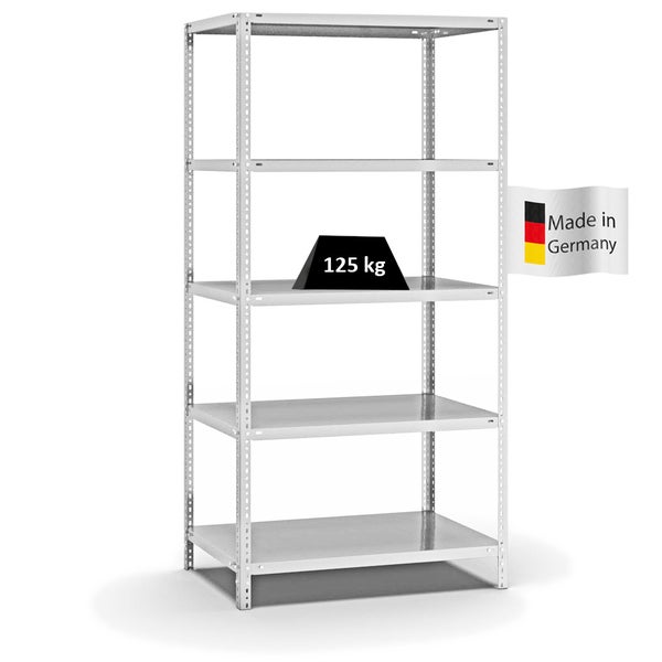 PROREGAL Fachbodenregal Schraubsystem Light-Duty Grundregal HxBxT 200 x 100 x 60 cm 5 Ebenen Fachlast 125 kg Beidseitig Nutzbar Lichtgrau