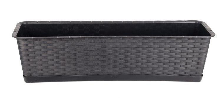 Topf mit purpurnen Knöpfchenblumen auf dem Balkon