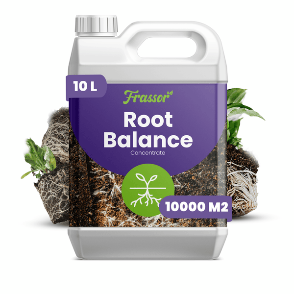 Frassor Root Balance Konzentrat zur Wurzelstärkung in einem 10 Liter Kanister für 10000 Quadratmeter