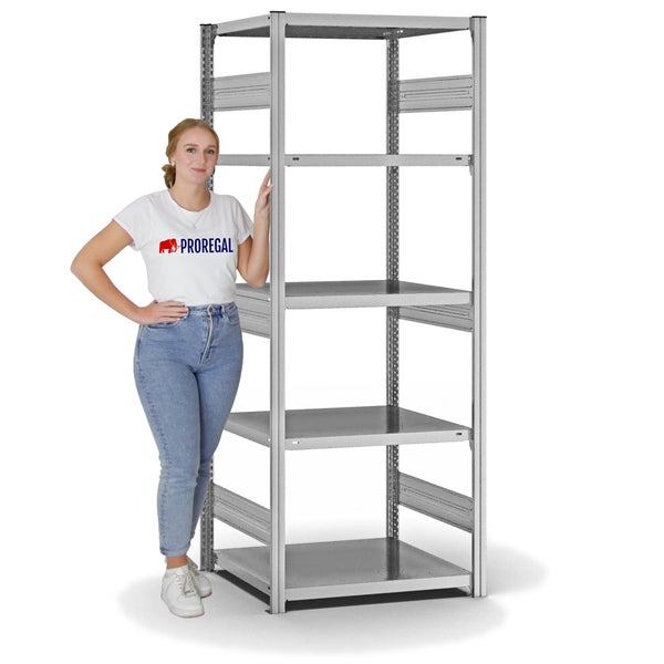 PROREGAL Fachbodenregal Stecksystem T-Profil Heavy-Duty Grundregal HxBxT 200 x 75 x 60 cm 5 Ebenen Fachlast 330 kg Beidseitig Nutzbar Verzinkt
