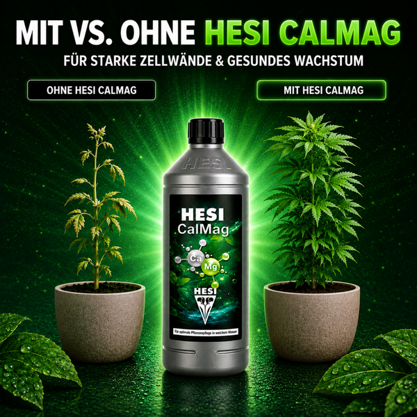 Hesi CalMag Pflanzendünger in der Flasche mit Vergleichsdarstellung gesunder Pflanzen für die optimale Nährstoffversorgung in weichem Wasser.