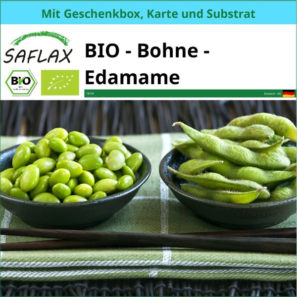 SAFLAX Geschenk Set - BIO - Bohne - Edamame - Glycine max (L.) Merr. - 8 Samen - Mit Geschenkbox, Versandaufkleber, Geschenkkarte und Anzuchtsubstrat