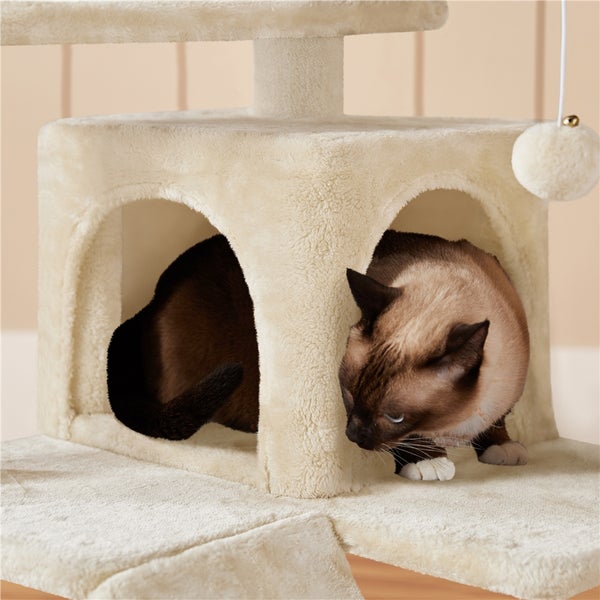 Katze in einem Katzenkratzbaum mit Höhlen und Spielzeug