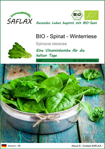 SAFLAX  - BIO - Spinat - Winterriese - Spinacia oleracea - 250 Samen