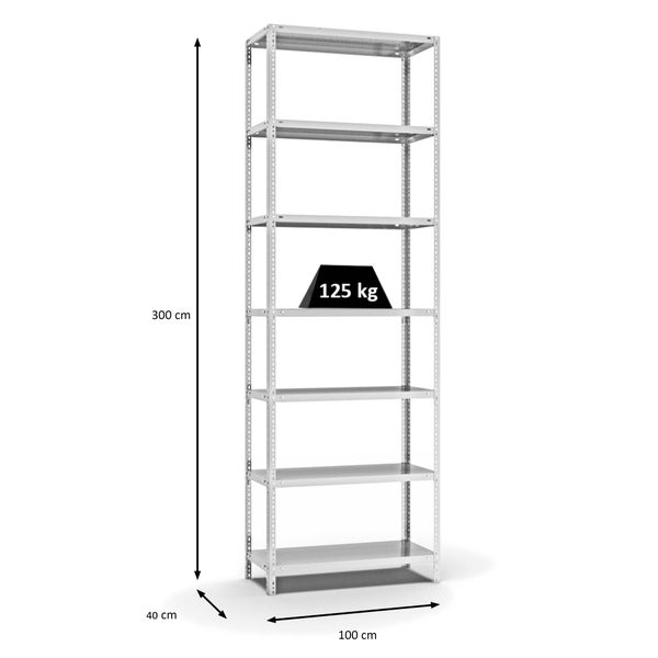PROREGAL Fachbodenregal Schraubsystem Light-Duty Grundregal HxBxT 300 x 100 x 40 cm 7 Ebenen Fachlast 125 kg Beidseitig Nutzbar Lichtgrau