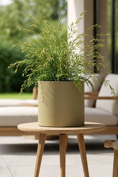Zylindrischer Blumentopf mit grüner Pflanze auf einem runden Holztisch im hellen Außenbereich.