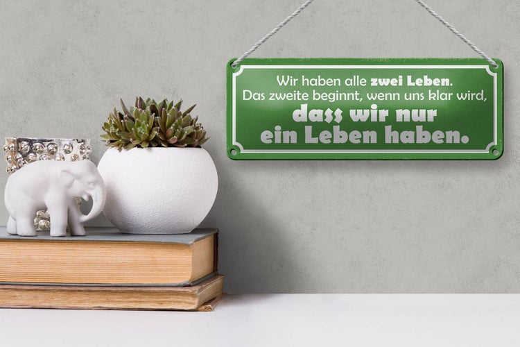 Blechschild Spruch 27x10cm wir haben zwei Leben das zweite Dekoration