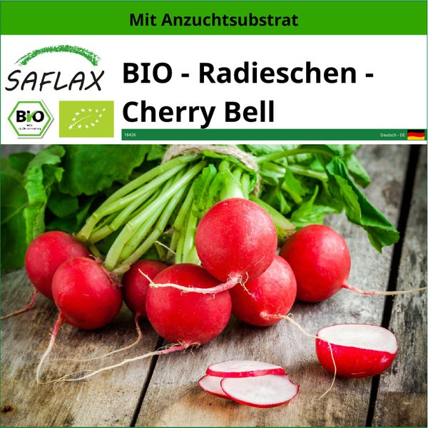 SAFLAX  - BIO - Radieschen - Cherry Bell - Raphanus sativus - 100 Samen - Mit keimfreiem Anzuchtsubstrat