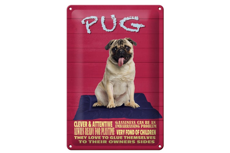 Blechschild Spruch 20x30cm Pug Hund clever attentive