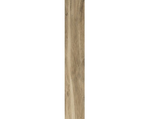 Wand- und Bodenfliese Silentline Miele 20x120cm