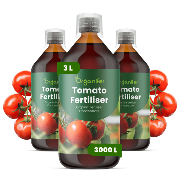 Organifer Bio-Tomatendünger Konzentrat, drei Flaschen zu je 1 Liter für 3000 Liter Düngemittel, inklusive Dosierkappe.