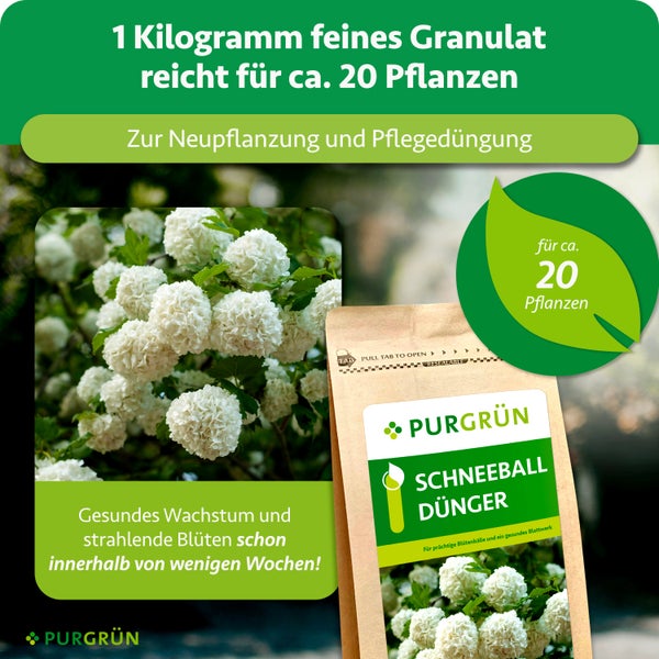 Infografik Purgrün: Granulat abmessen, circa 20 bis 40 Gramm, und verteilen. Anwendung im März bis April und Juli bis August. Purgrün Logo.