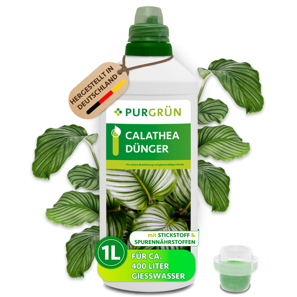 Purgrün Calathea Dünger, 1 Liter Flasche mit Messbecher. Hergestellt in Deutschland. Für circa 400 Liter Gießwasser mit Stickstoff. Purgrün Logo.
