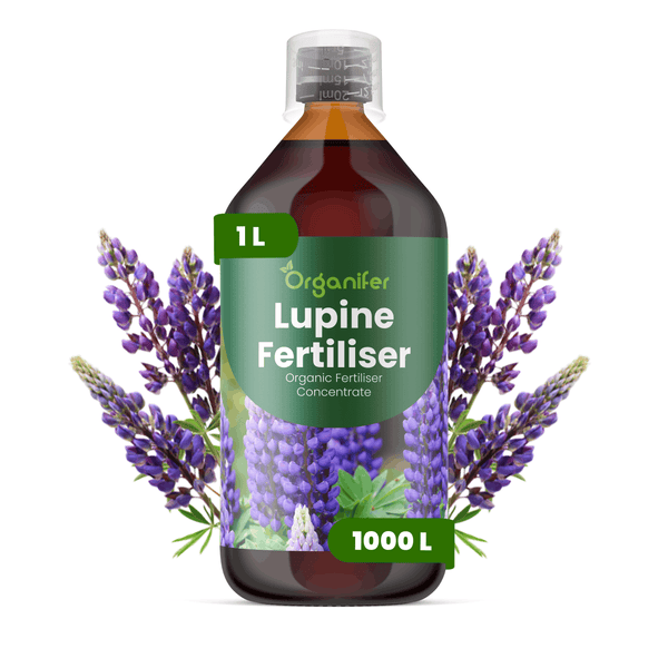 Organifer Lupinen-Dünger, organisches Düngerkonzentrat, 1 Liter Flasche mit Messkappe.