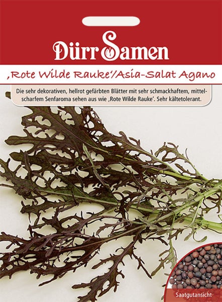 Samentüte Dürr Samen für Rote Wilde Rauke und Asia-Salat Agano mit Abbildung der rotbraunen gezackten Blätter und einer Nahaufnahme der Samen.