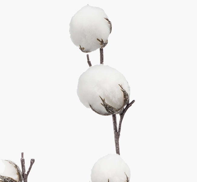 Baumwollzweig mit flauschigen weißen Baumwollkapseln an einem braunen Stiel.