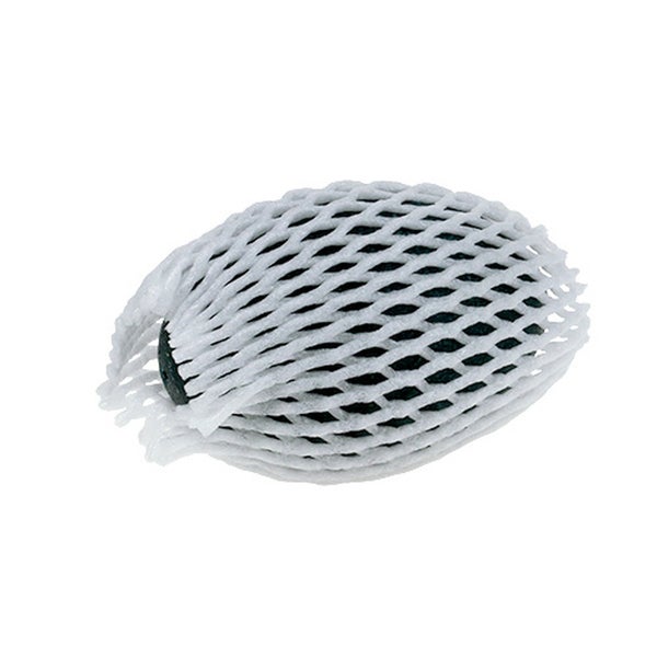 Aktivkohlefilter mit Schutznetz