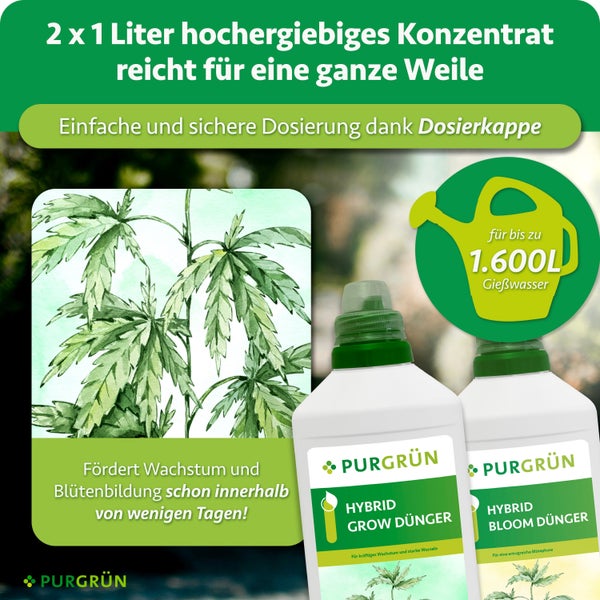 Set mit zwei Flaschen Purgrün Hybrid Grow und Bloom Dünger Konzentrat zur Förderung von Pflanzenwachstum und Blütenbildung für 1600 Liter Wasser.
