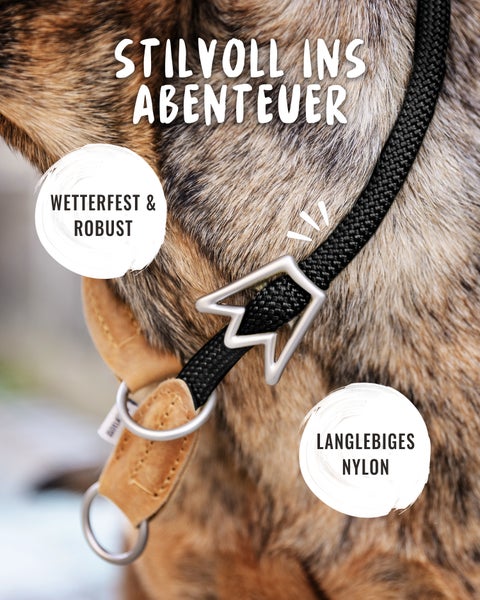 Hundehalsband aus Nylon mit Metallschnalle