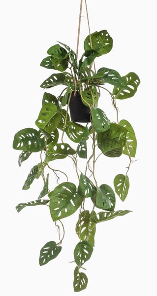 Künstliche Monstera adansonii im schwarzen Hängetopf mit Kordelaufhängung.