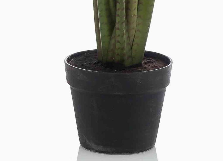 Künstliche Alocasia Pflanze im schwarzen Kunststofftopf mit großen grünen Blättern und markanten Blattadern.