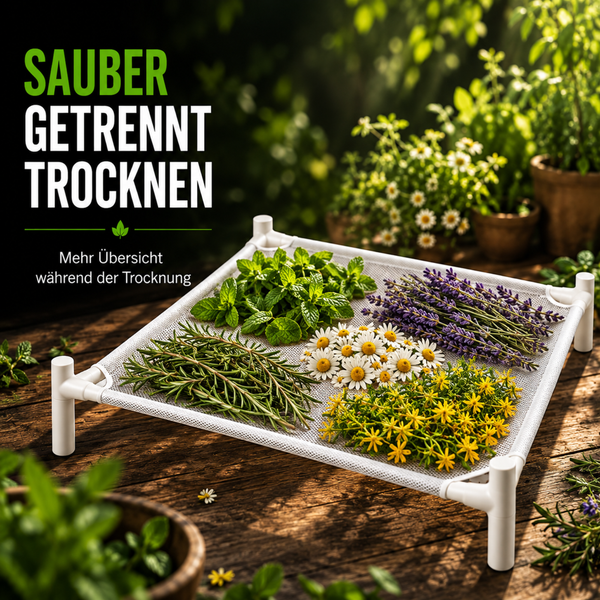 Ein Kräutertrockenrahmen mit frischen Kräutern wie Minze, Lavendel, Kamille und Johanniskraut zur schonenden Trocknung auf einem Holzuntergrund.