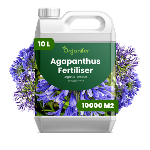 Organifer Agapanthus Dünger, 10 Liter Bio-Flüssigdünger Konzentrat für 10.000 Quadratmeter, Kunststoffkanister.