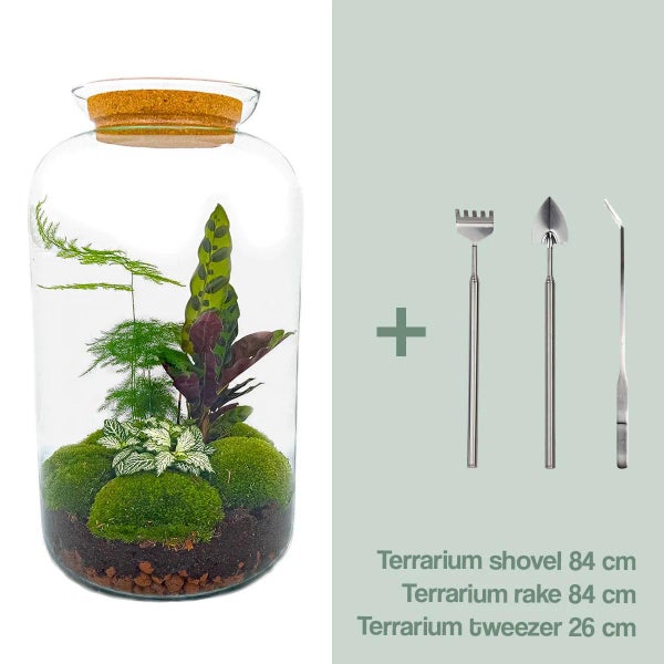 Terrarium mit Pflanzen im Glasbehälter, inklusive 84 cm Schaufel und Rechen sowie 26 cm Pinzette für Terrarien