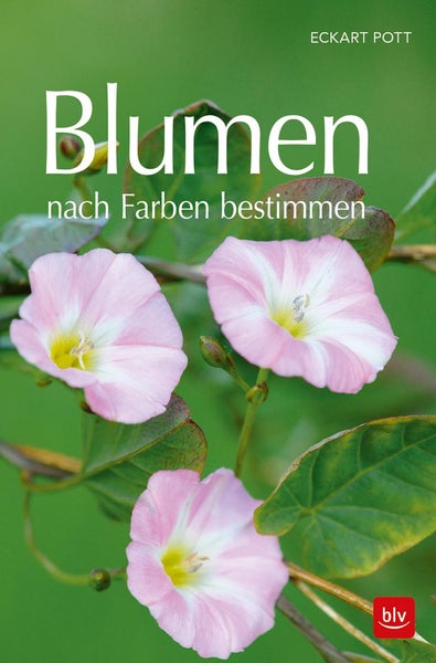 Blumen nach Farben bestimmen BLV Naturführer