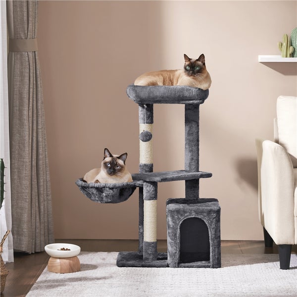 Katzenkratzbaum mit mehreren Ebenen, Katzenhaus und zwei Siamkatzen