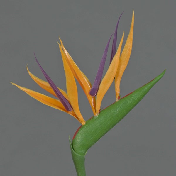 Künstliche Kornblume in Blau mit grünem Stängel und Blättern.