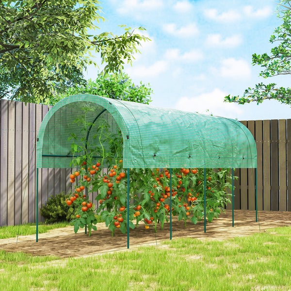 Tomatengewächshaus mit Gitterfolie und Metallrahmen zum Schutz von Tomatenpflanzen im Garten.