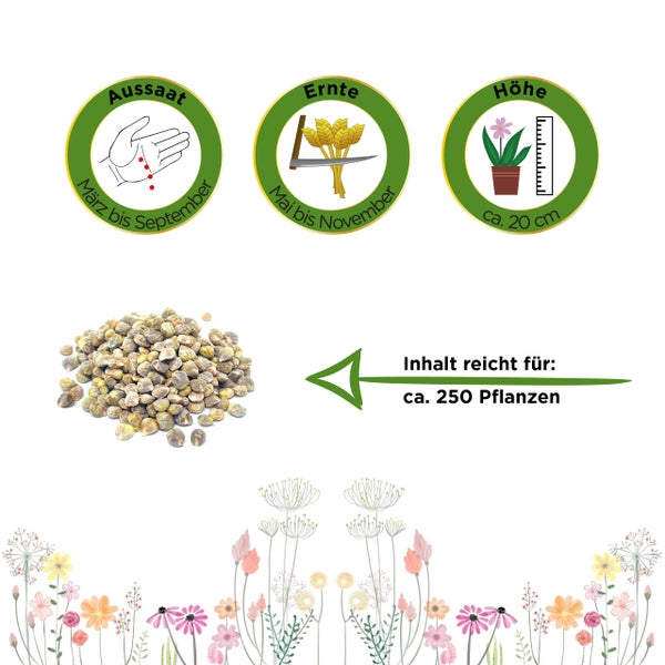 Aussaat von März bis September, Ernte von Mai bis November, Wuchshöhe circa 20 cm, Inhalt für circa 250 Pflanzen.
