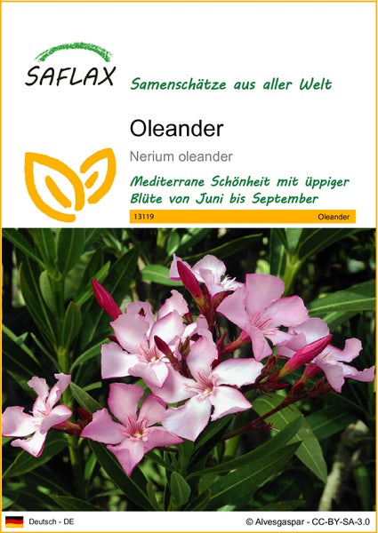 SAFLAX  - Oleander - Nerium oleander - 50 Samen