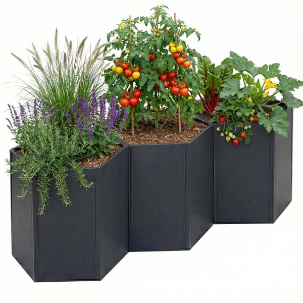 Drei verbundene hexagonale Hochbeete aus Metall in Anthrazit, bepflanzt mit Kräutern, Tomaten, Mangold und Erdbeeren.