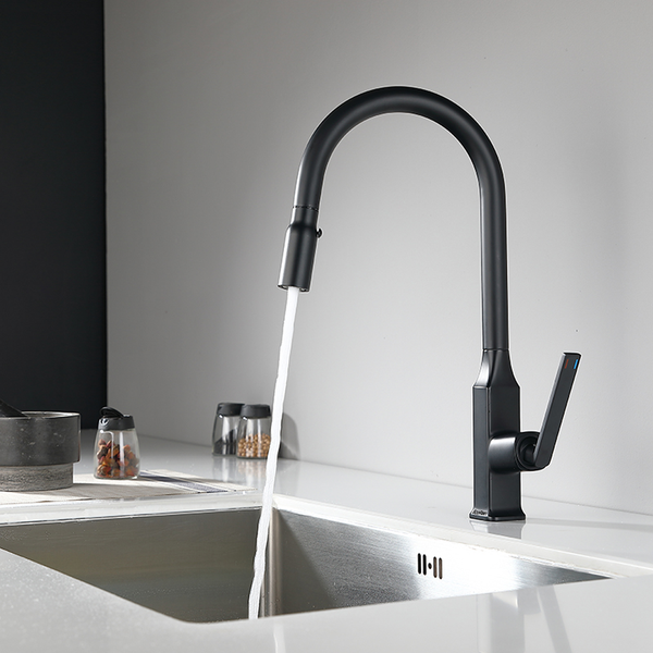 EcoRain 30% Wassersparender Küchenarmatur Lucas mit ausziehbarem Auslauf aus Edelstahl RVS 304 und Messing - Universeller Anschluss - Anti-Kratz-Beschichtung - Erhält Wasserdruck - Schwarz