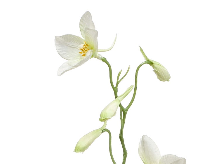 Künstliche Blume mit weißen Blüten, grünem Stiel und gelben Staubgefäßen.
