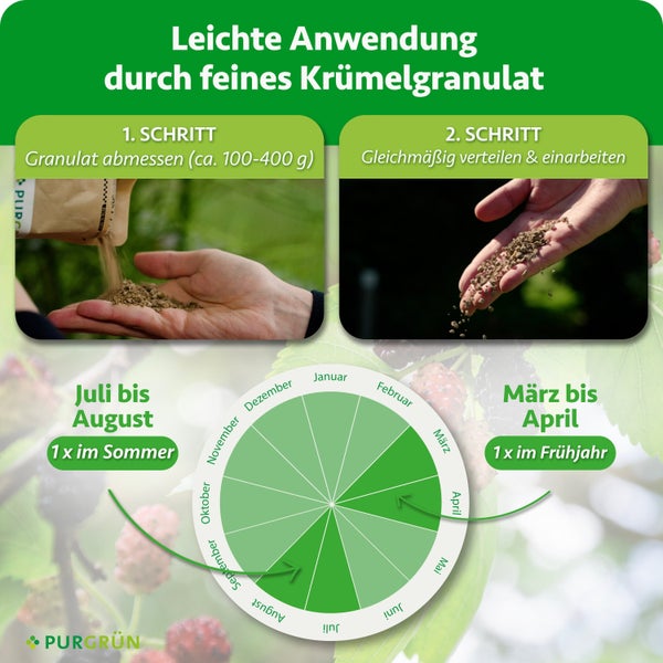 Anwendungshinweise und Ausbringungszeitraum für Purgrün Düngergranulat in zwei Schritten mit Jahreskalender für die Anwendung.