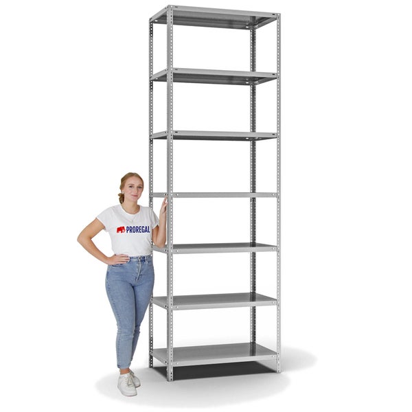 PROREGAL Fachbodenregal Schraubsystem Light-Duty Grundregal HxBxT 300 x 100 x 50 cm 7 Ebenen Fachlast 125 kg Beidseitig Nutzbar Verzinkt