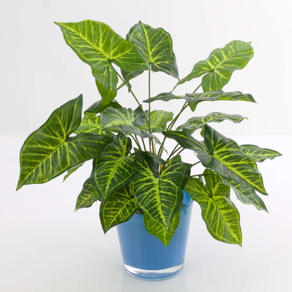 Kunstpflanze Syngonium mit gemusterten grünen Blättern in einem blauen Topf.
