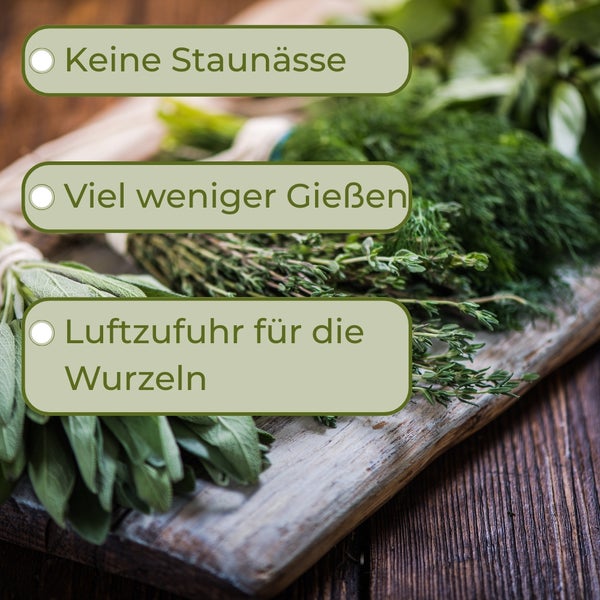 Frische Kräuter auf einem Holzbrett mit Hinweisen zu Staunässe, reduziertem Gießen und Luftzufuhr für die Wurzeln.