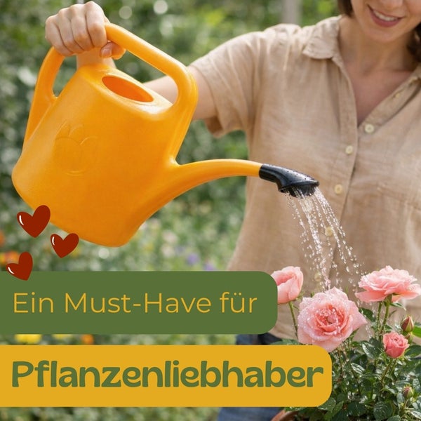 Eine Person gießt Rosen mit einer gelben Gießkanne.