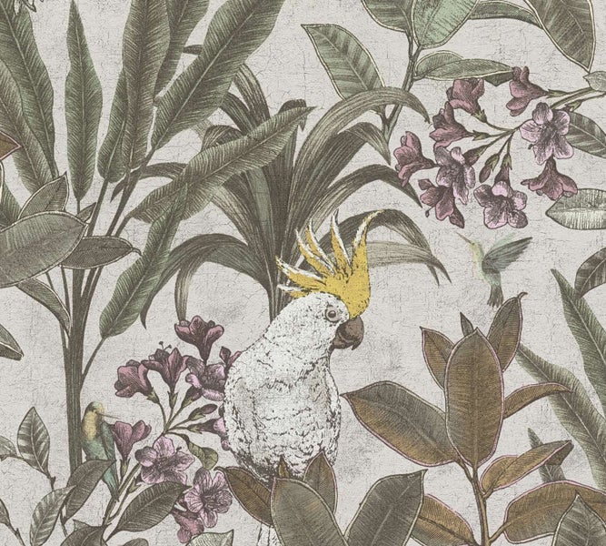 Tapete mit tropischem Dschungelmotiv, Kakadu, Kolibris und exotischen Blumen im Vintage Stil für eine natürliche Wandgestaltung.