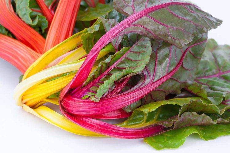 Bio Hochbeet-Set „Frühstart“, Bio Jungpflanzen, Bio Gemüse anbauen, Garten, Balkon, 2x Bio Spinat, 2x Bio Kohlrabi, 2x Bio Mangold, 2x Bio Rucola, 2x Bio Kopfsalat