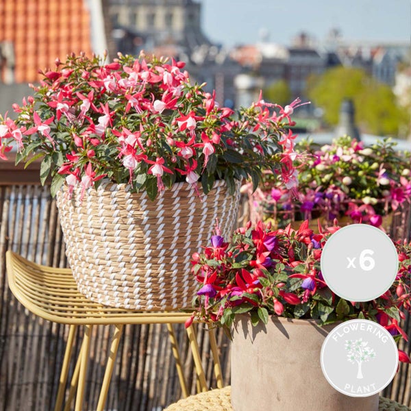 Kokosmatte im Detailansicht