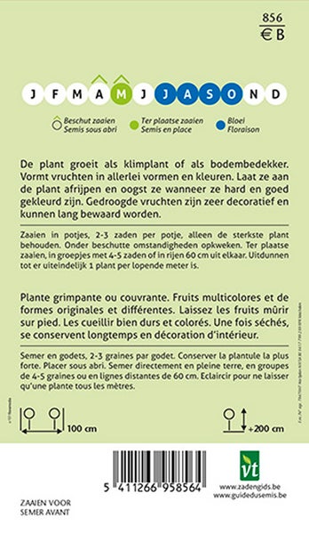 Informationen zu Aussaat und Anbau der Pflanze